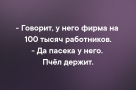 Анекдот в картинках и не только. Выпуск от 17.09.2020