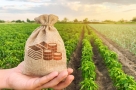 Омским аграриям будет проще получить льготные кредиты в ВТБ