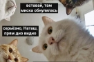 Анекдот в картинках. Выпуск от 04.07.2020