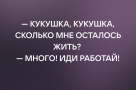 Анекдот в картинках и не только. Выпуск от 1.08.2022