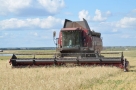 Аграрии Омского района собрали уже 75% урожая зерновых и зернобобовых