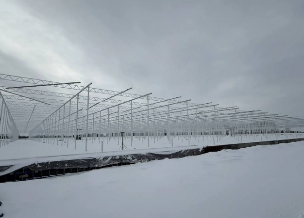 Тепличный комплекс в Лузино готовится к подключению к сетям