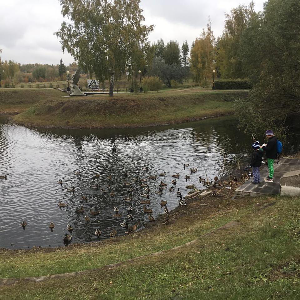 Лебединое озеро в Омске