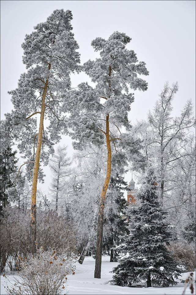 Омск в январе