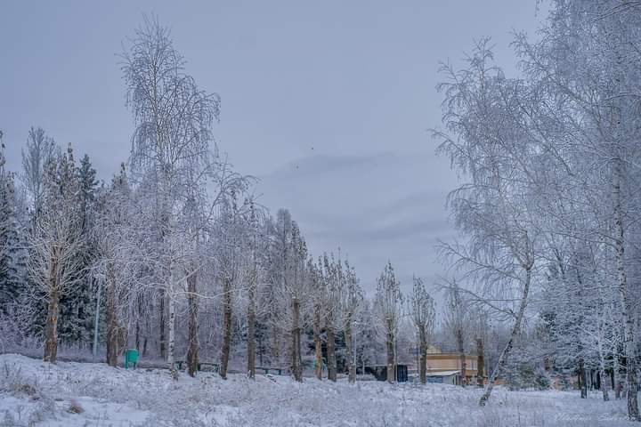 В Советском парке. Фото Владимира Сидоркина.