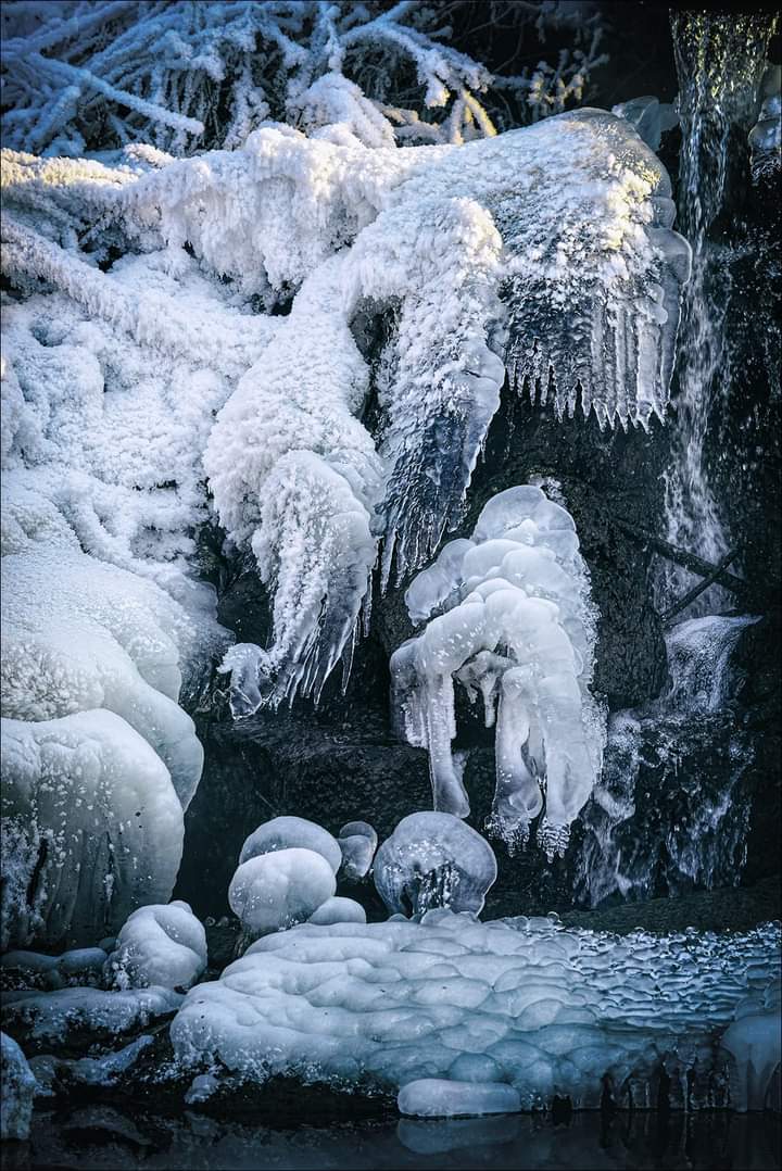 У Ленинградского моста. Фото Андрея Кудрявцева. 