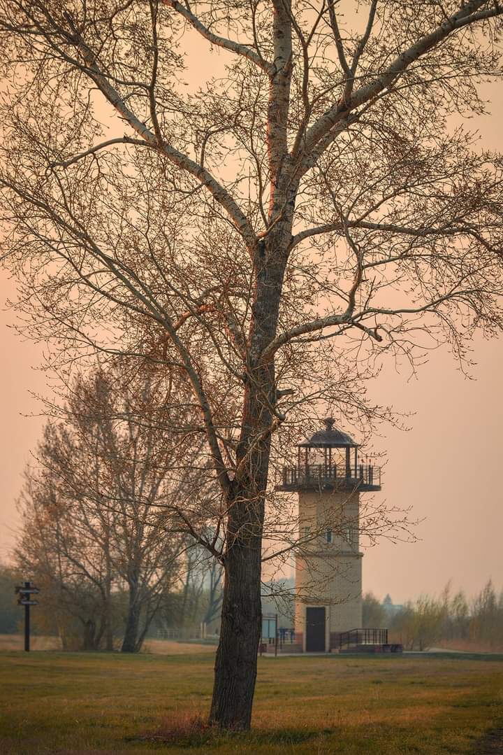 Фото Андрея Кудрявцева 