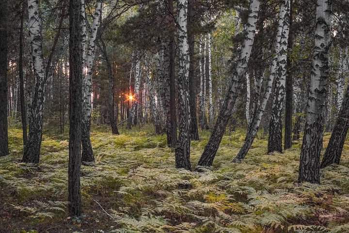 Фото Владимира Сидоркина