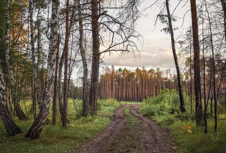 Фото Владимира Сидоркина