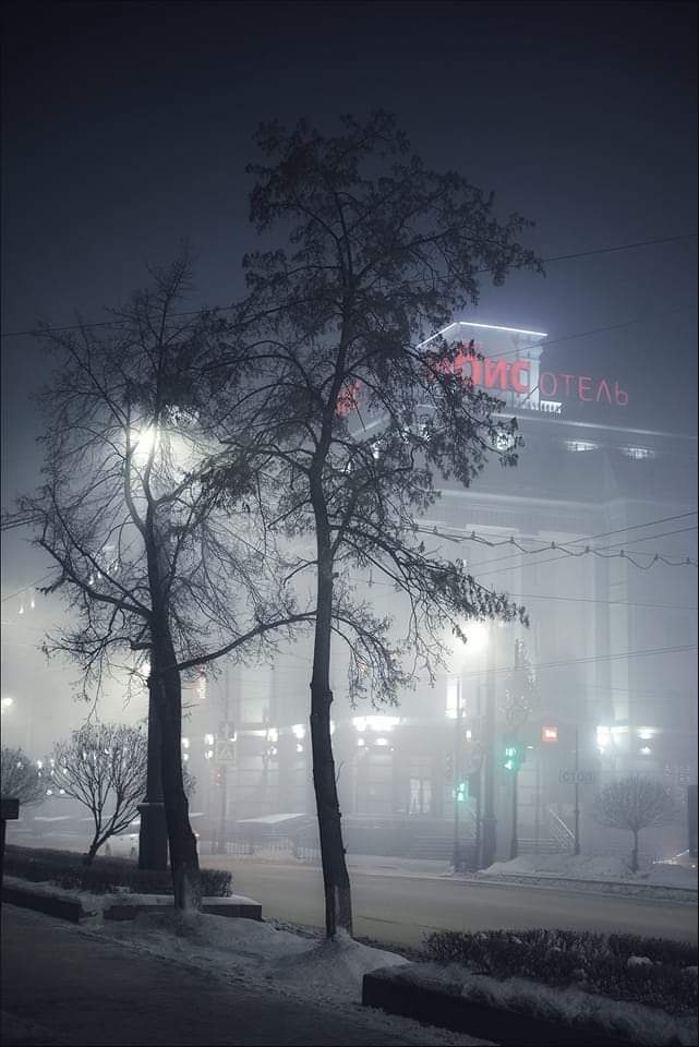 Фото Андрея Кудрявцева 