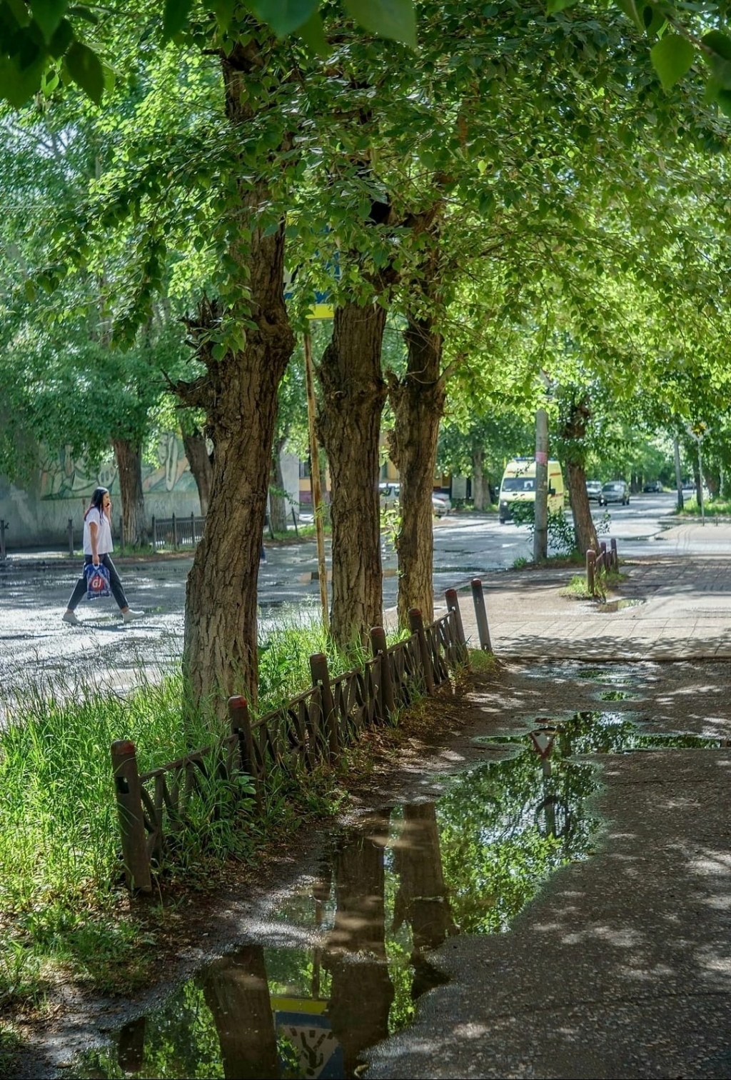 Фото Владимира Сидоркина