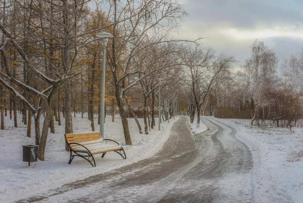 В зимнем парке. Фото Владимира Сидоркина