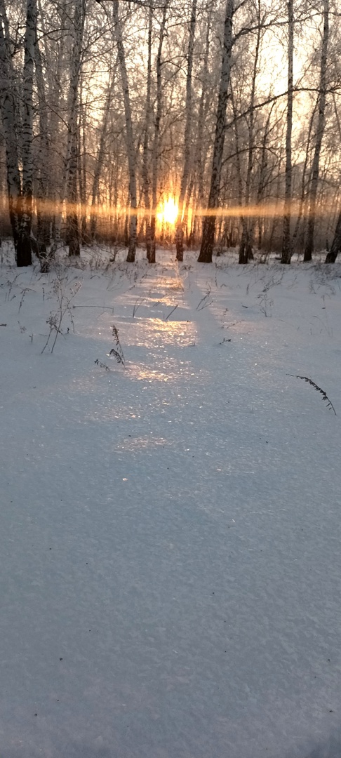 Фото Елены Борисенко