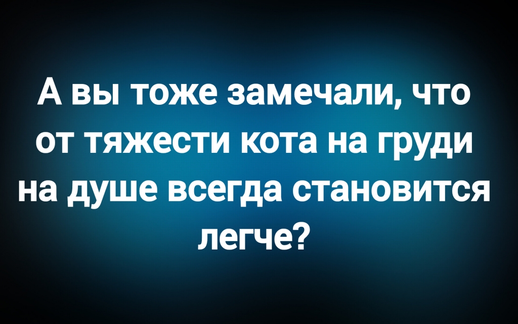 Из паблика «Я люблю русский язык»