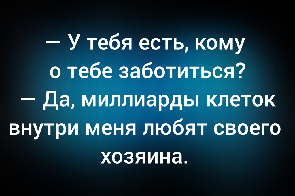 из паблика &laquo;Сова&raquo;