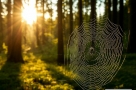 Гороскоп на 30 июля 2026 года