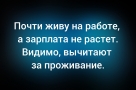 Анекдот в картинках и не только. Выпуск от 20.11.2025
