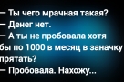 Анекдот в картинках и не только. Выпуск от 12.08.2026