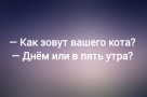 Анекдот в картинках и не только. Выпуск от 05.04.2026