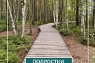 После развода: как подросткам выстраивать отношения с отцом
